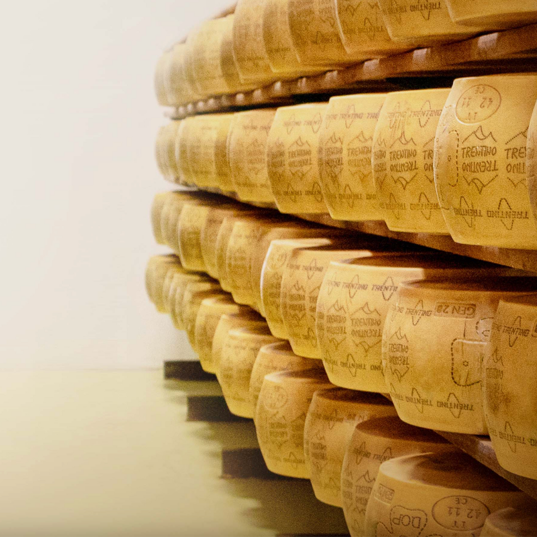 Original Parmesan Trentingrana DOP - Tiroler Bauernstandl