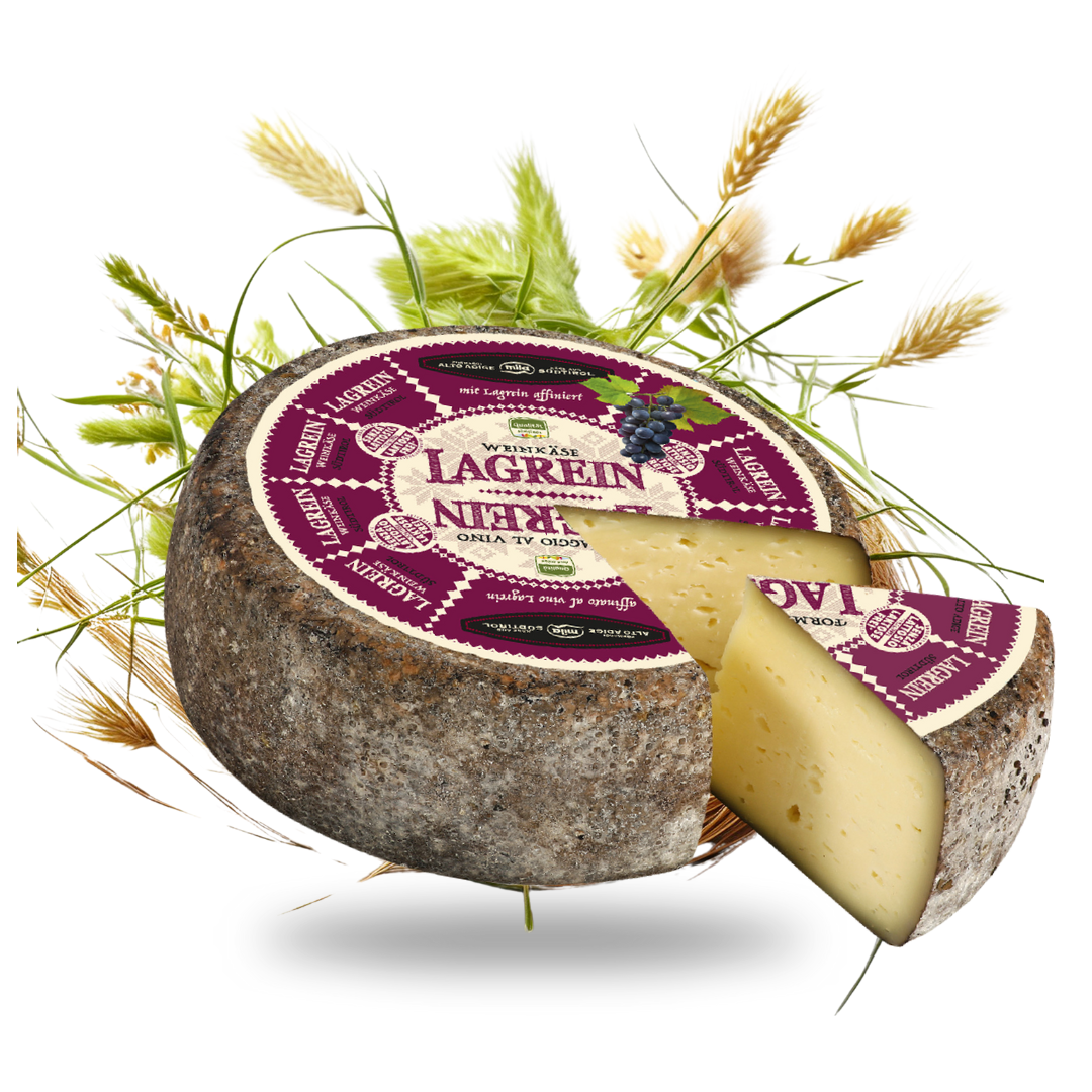 "Lagrein Weinkäse" Spezialitätenkäse aus Meran | 50 % F. i. T. - Tiroler Bauernstandl