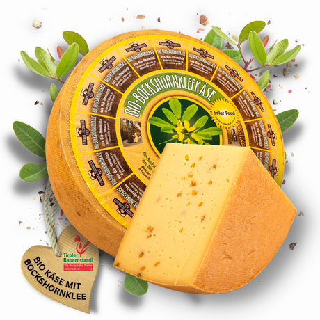 Tiroler Bio Bockshornklee Käse | milder und nussiger Schnittkäse 45 % Fett i.Tr. - Tiroler Bauernstandl