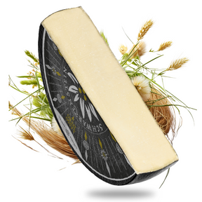 Schwarzenstein| Intensiv würziger Hartkäse | mind. 45 % Fett i. Tr. - Tiroler Bauernstandl