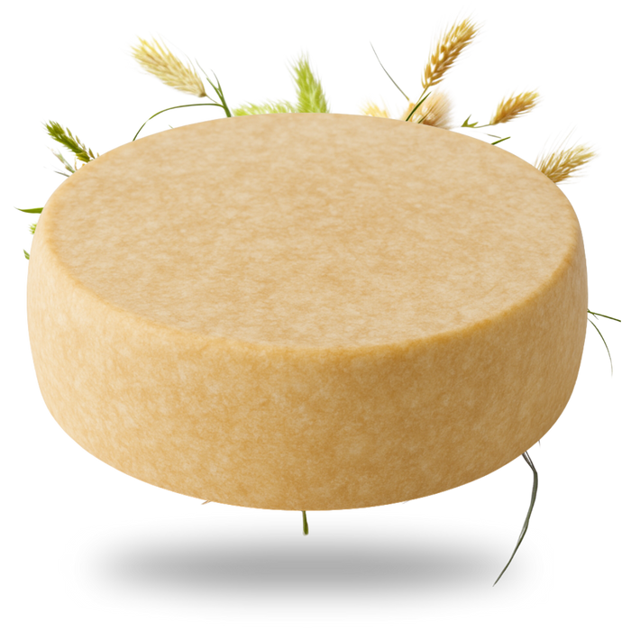 Tiroler Bergkäse g.U. 6 Monate gereift 45% Fett i. Tr. - Tiroler Bauernstandl